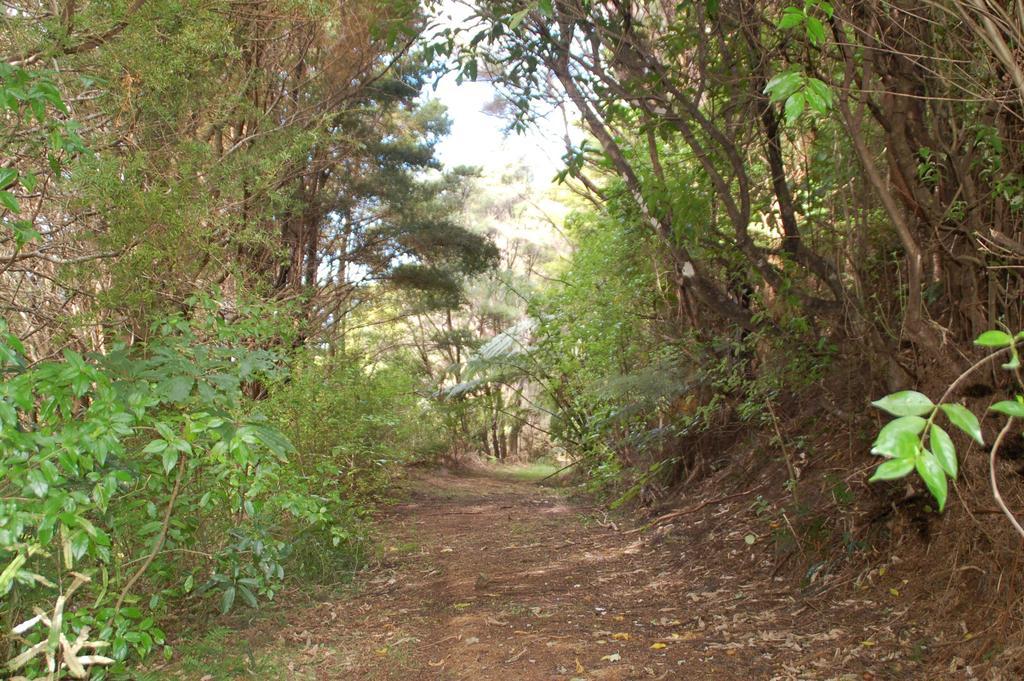 Kohinui Glade Holiday Cottage Parua Bay Eksteriør bilde